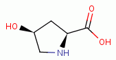 4-hydroxy-L-proline 
an amino acid with a secondary amino group