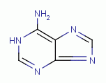 adenine 
an example of an important purine