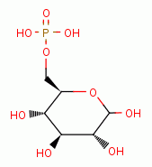 glucose-6-phosphate the substrate 
for glucose-6-phosphate-dehydrogenase