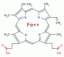 heme