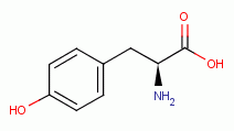 L-tyrosine 
an amino acid with a monophenol group