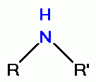 a generalized secondary amine