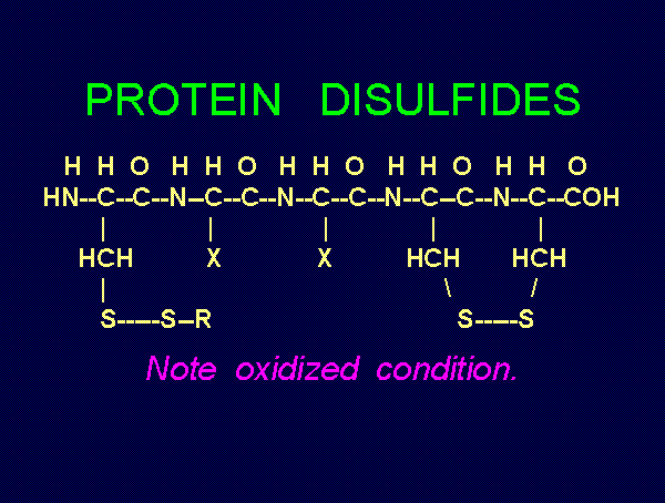 protein disulfides - 
note disulfide bonds