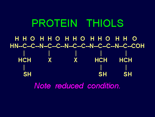 protein thiols - 
note L-cysteine residues